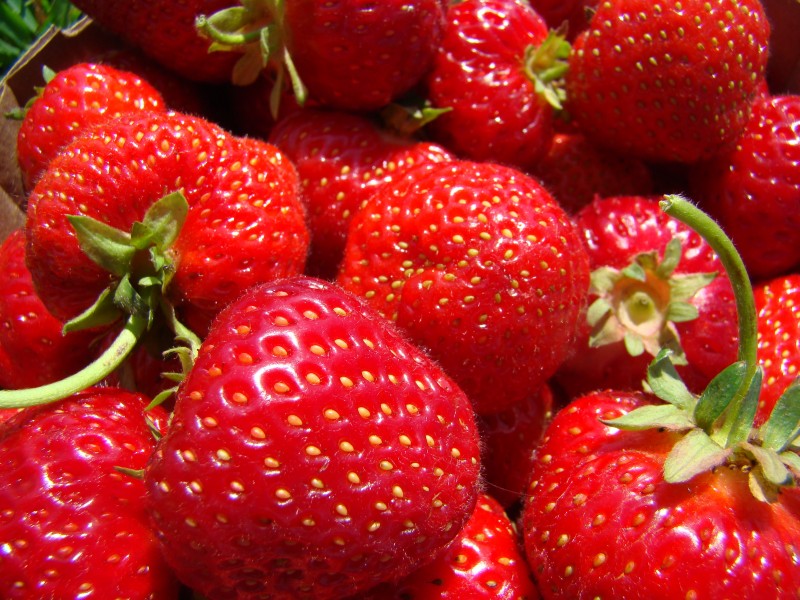 鲜红酸甜可口的草莓图片