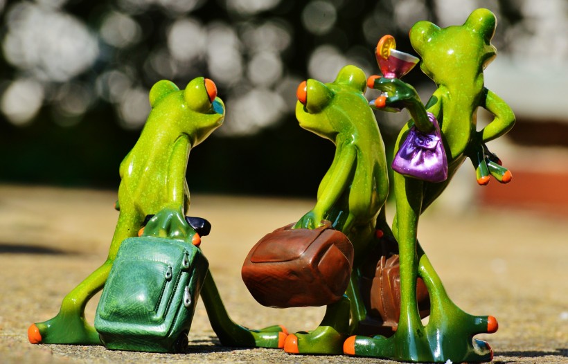 可爱的青蛙玩具图片
