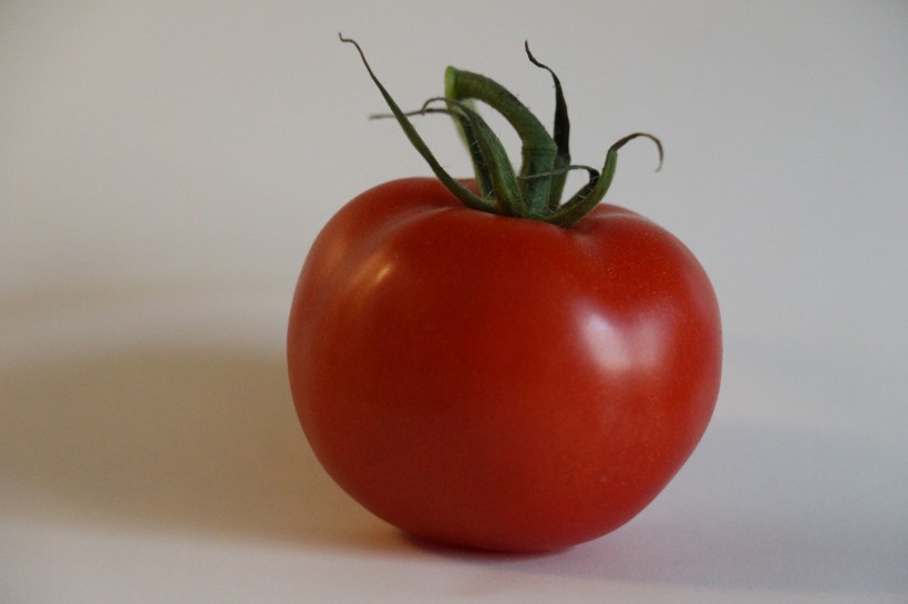营养美味的番茄图片