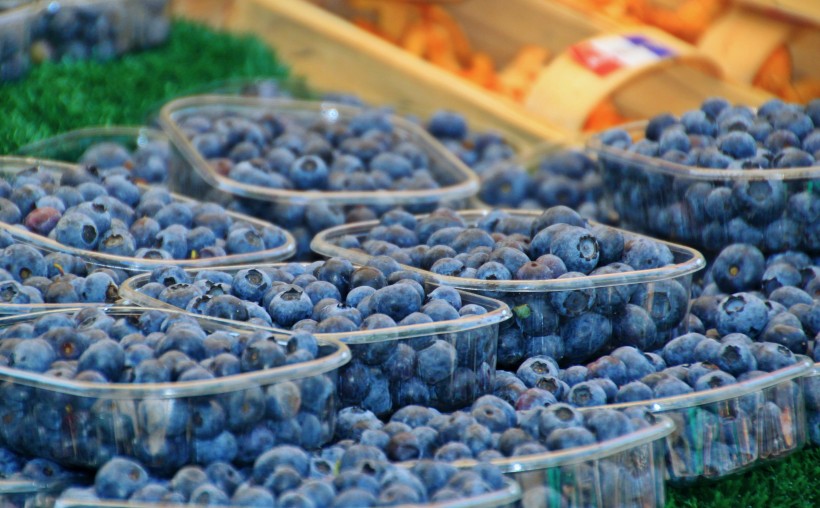 清香可口的蓝莓图片