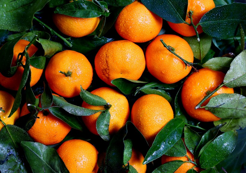 新鲜的柑橘图片