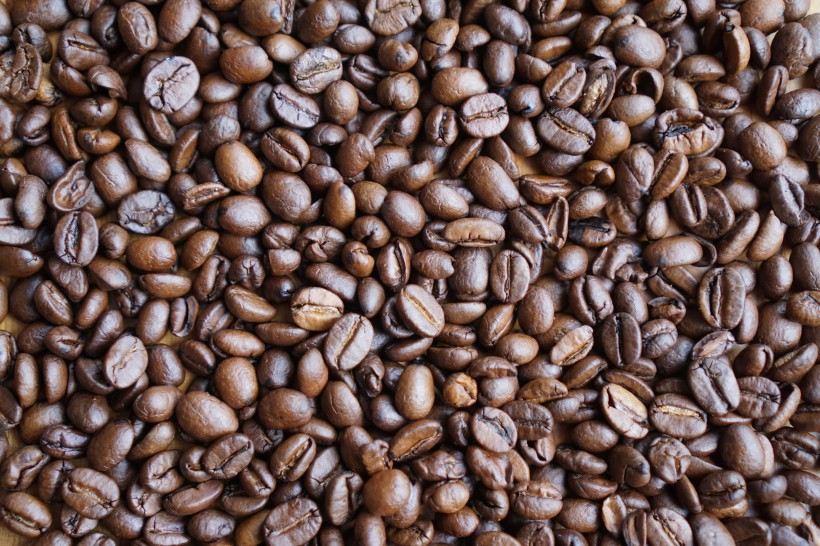 颗粒饱满的咖啡豆图片