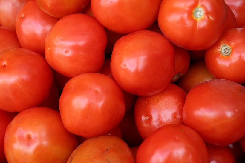 鲜红的西红柿图片