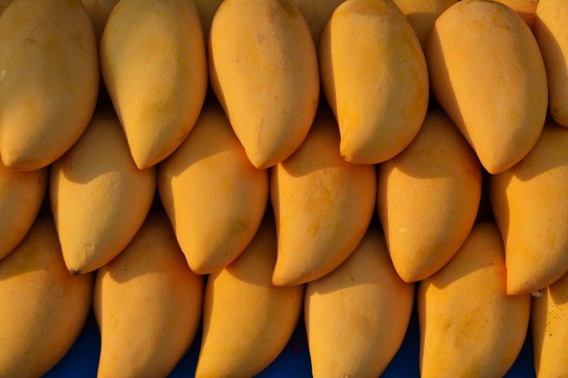 香甜好吃的芒果图片