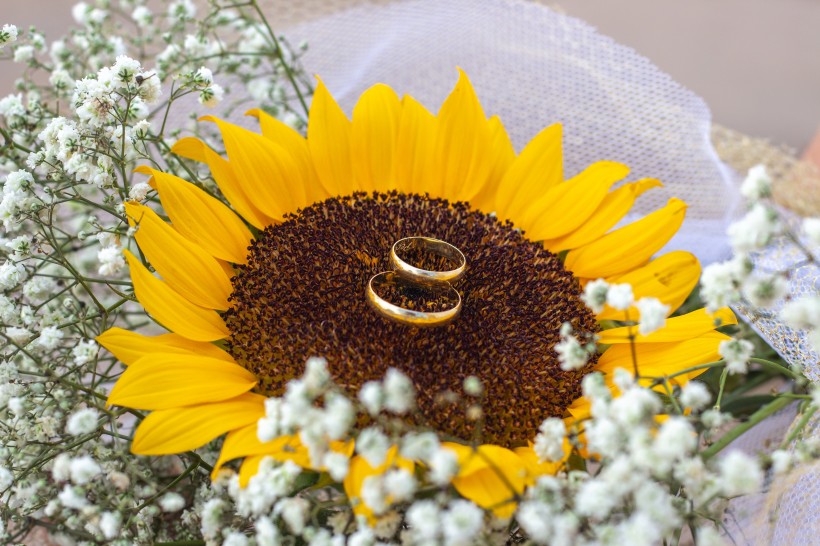 美丽鲜花上的结婚戒指图片