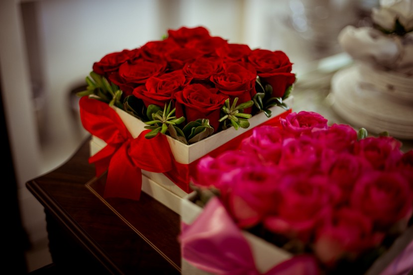 娇艳欲滴的红玫瑰花图片