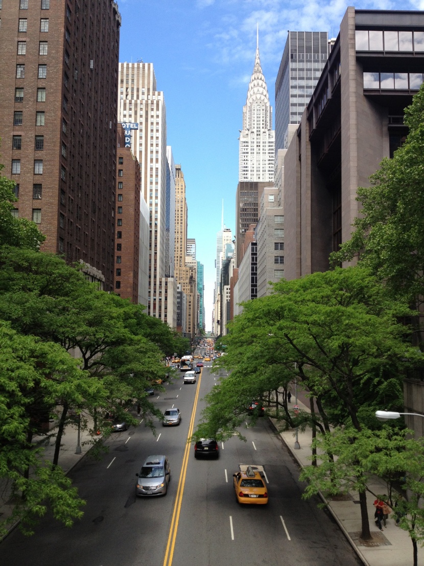 美国纽约的街道图片