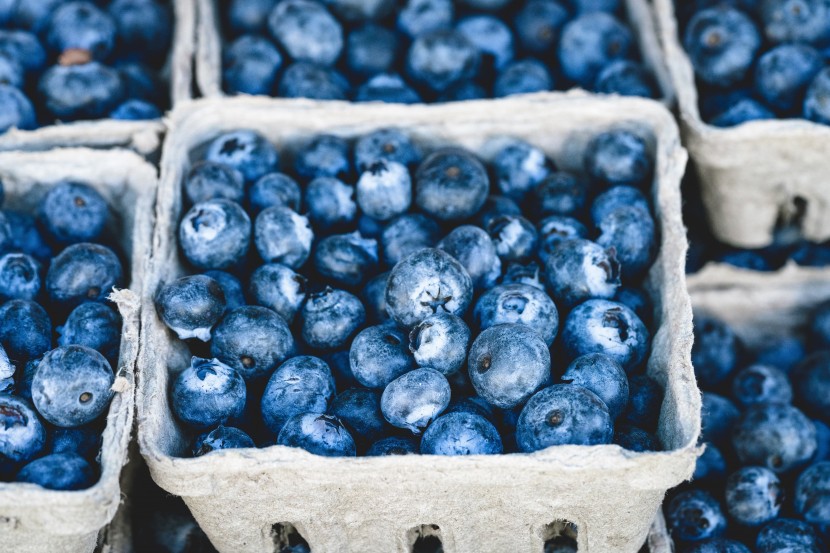 营养美味的蓝莓图片
