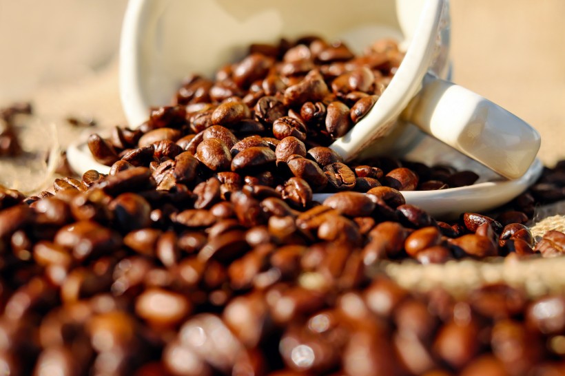 醇香咖啡豆的图片