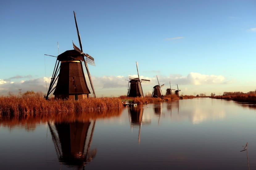 高大壮观的荷兰风车图片
