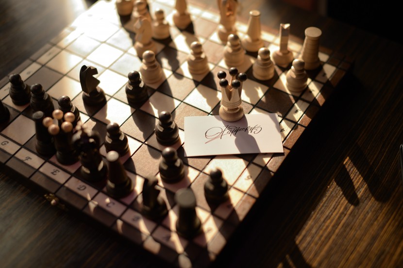 有趣益智的国际象棋图片