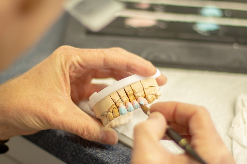 牙科用的牙齿模型图片