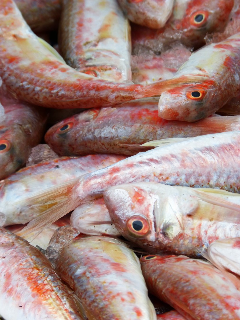 味道鲜美的红鲻鱼图片