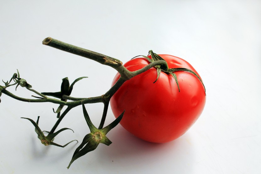 红色多汁的番茄图片