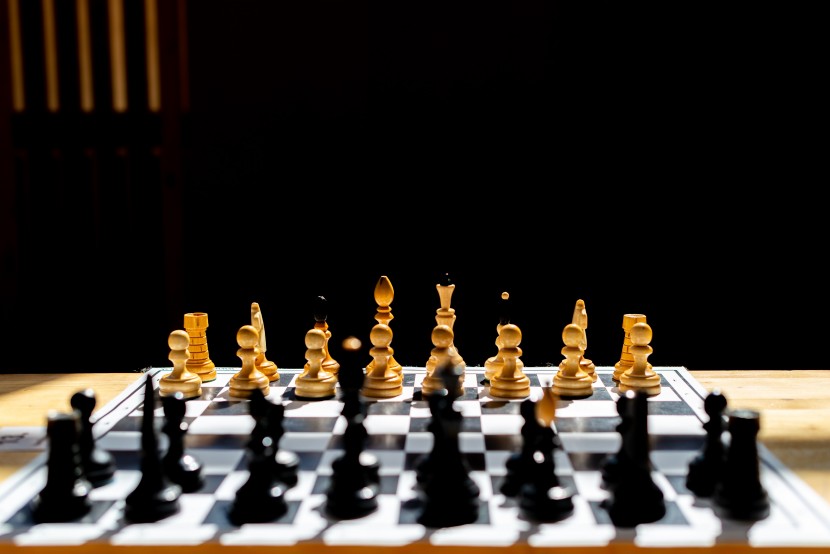有趣益智的国际象棋图片
