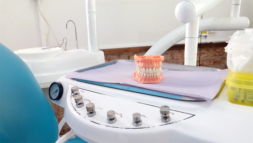 牙科用的牙齿模型图片
