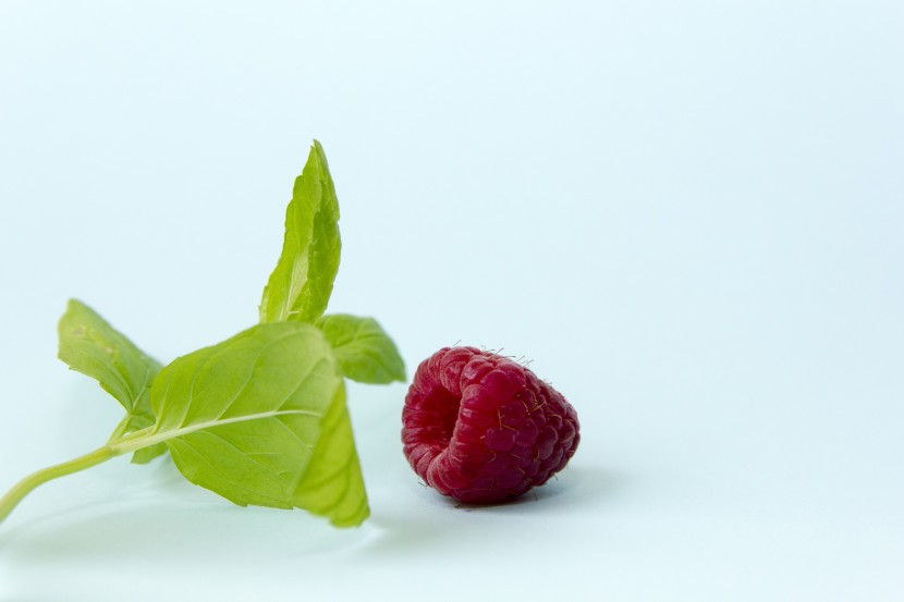 营养美味的树莓图片