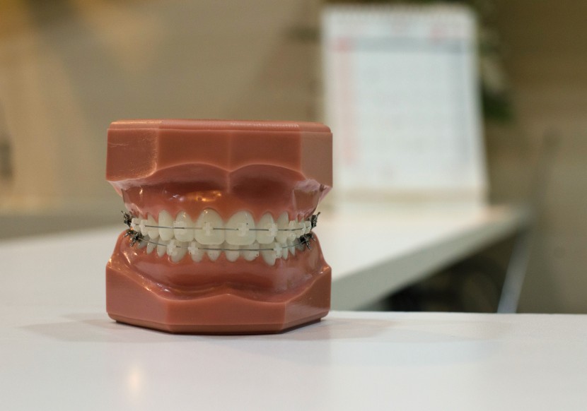 牙科用的牙齿模型图片(11张)
