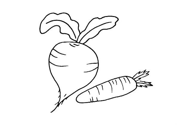 7.再给胡萝卜的果实上画上一些条纹来点缀一下。