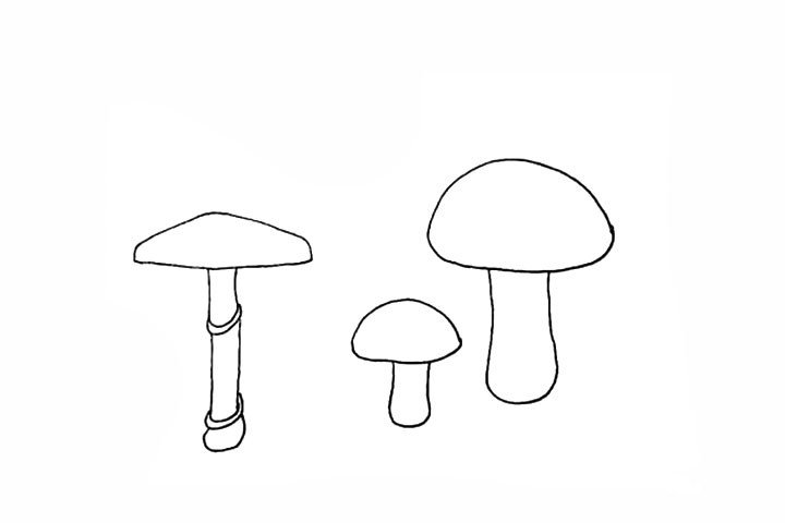 5.再画出一颗略大点的蘑菇。