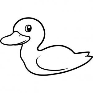 关于鸭子的简笔画