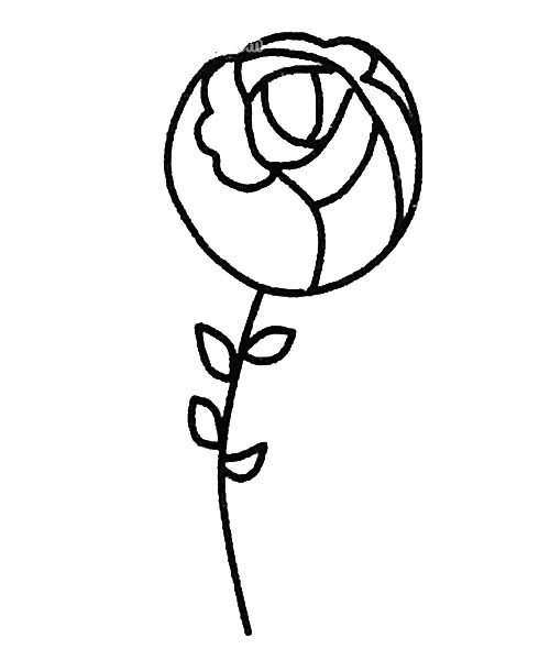 六张漂亮的玫瑰花简笔画图片
