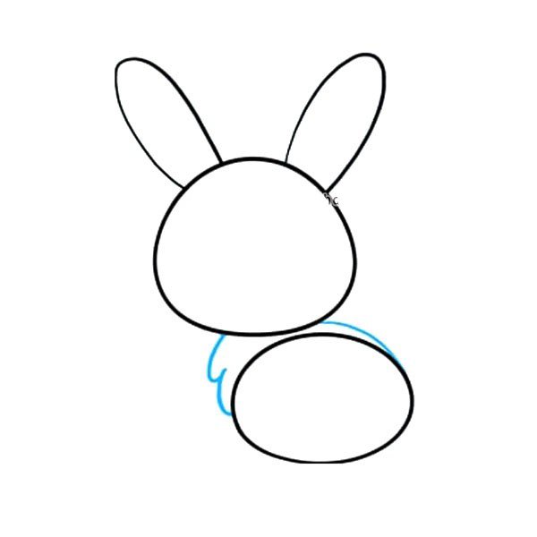 4.用曲线连接头部和身体。在兔子的胸部，重叠几条曲线来表示皮毛。