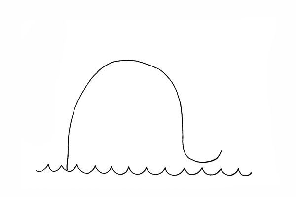 2.接着用曲线画出鲸鱼的头部以及背部。