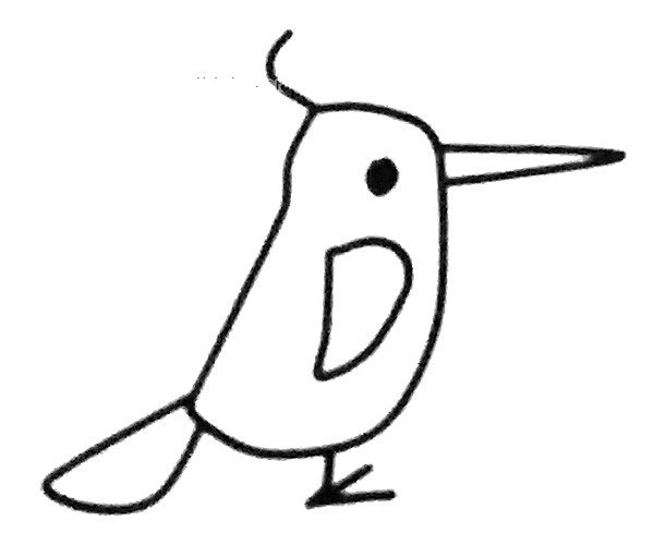 啄木鸟简笔画步骤4