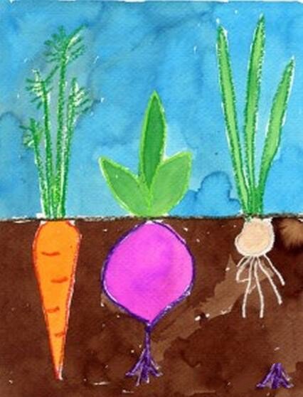 萝卜和甜菜国外创意蔬菜画图片分享