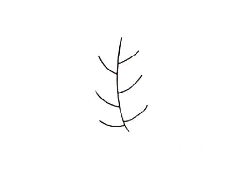 1.先画几根这样的交叉线做树枝