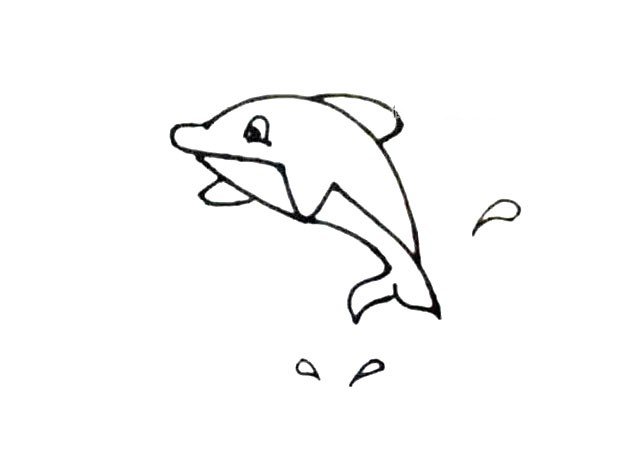 可爱的小海豚简笔画3