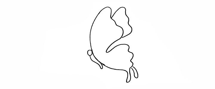 4.画出蝴蝶的身体和头部。