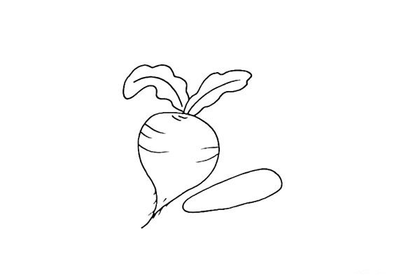 5.接下来在它的旁边画上一个胡萝卜.它的身体是细长的。