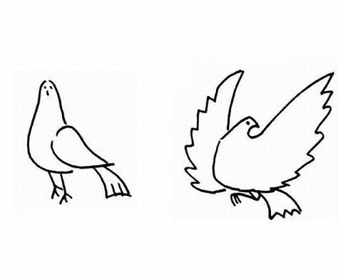 幼儿动物简笔画 和平鸽
