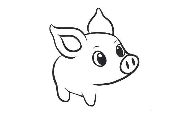 4.画出小猪身体轮廓和腿。