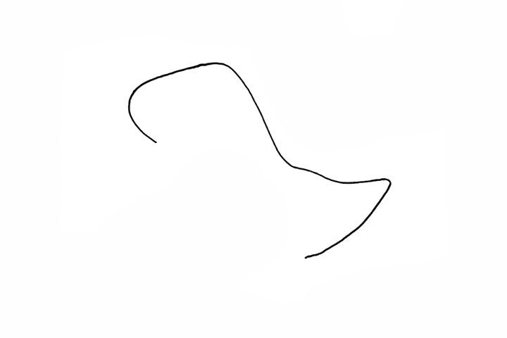 1.首先画一条曲线作为恐龙头部和背部。