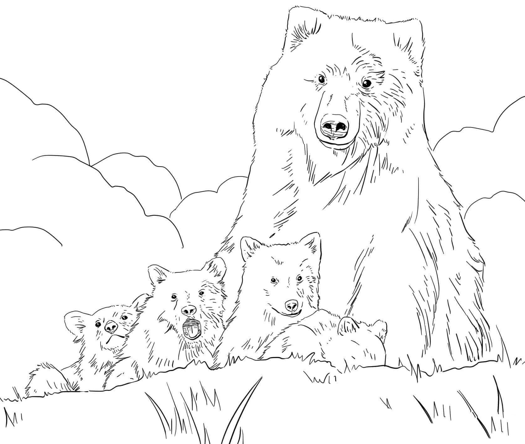 灰熊妈妈和宝宝