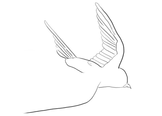3、再画出燕子的尾巴。