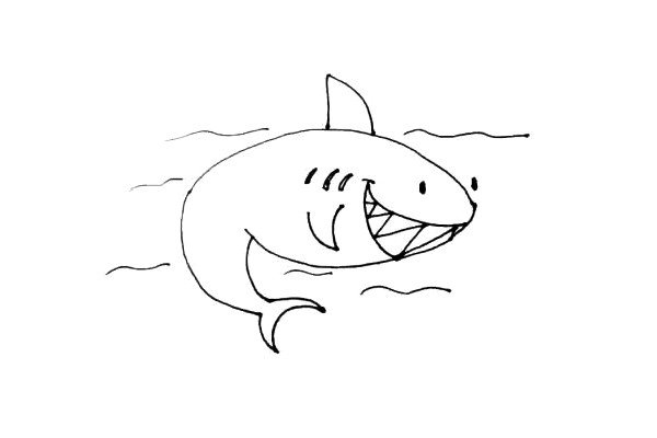 第八步：在鲨鱼周边画上一些波浪线作为水的波纹。
