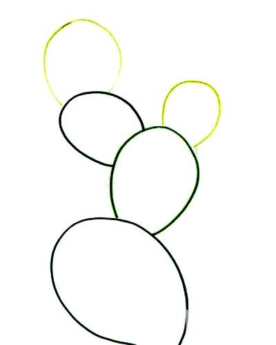 1.用深浅不同的绿色画出仙人掌的外部轮廓。