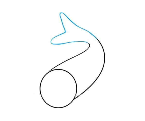 3.画一条“M”形线包围鱼的尾巴。