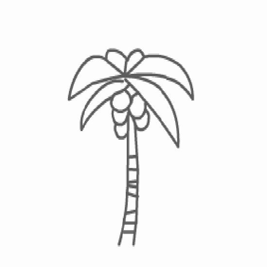 小学生椰子树简笔画设计素材