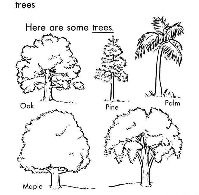五种大树简笔画图片