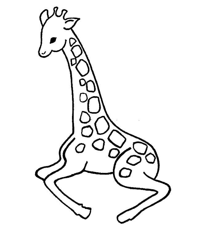小长颈鹿和长颈鹿妈妈简笔画