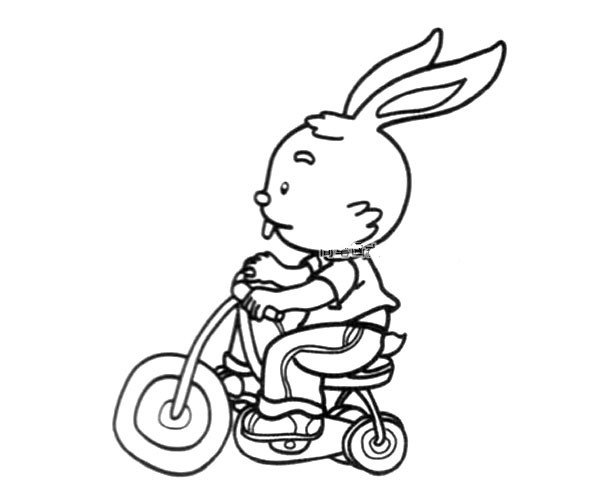 骑车的小兔子