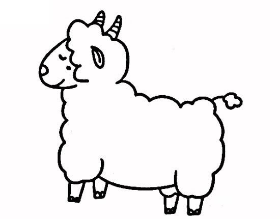 教你如何画绵羊