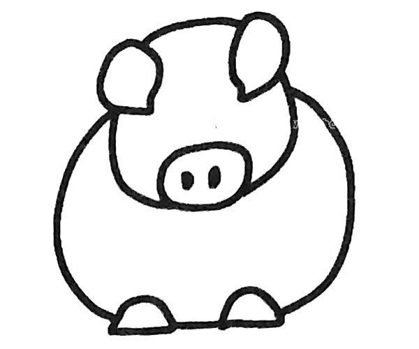 小猪简笔画步骤3