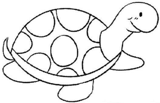 幼儿乌龟的简笔画画法