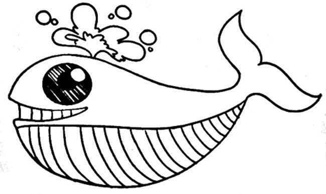 动物简笔画大全 卡通鲸鱼简笔画